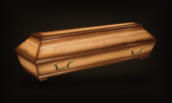 Dunaj tulipán