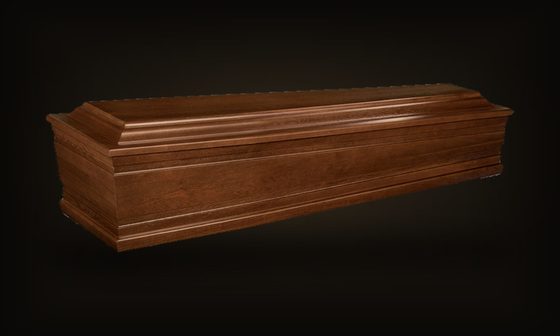 Vincent – holandský model
