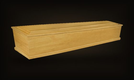 Rotterdam – holandský model