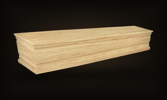 Houdein – holandský model
